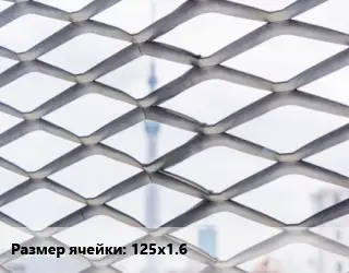 Сетка ЦПВС 125х1.6